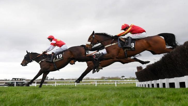 Coole Cody ridden by Adam Wedge at Cheltenham